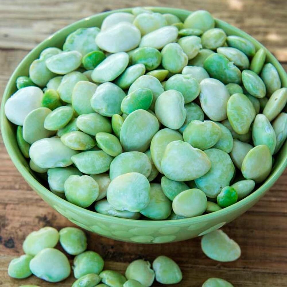A bowl of shelled pale green lima beans on a wooden table.