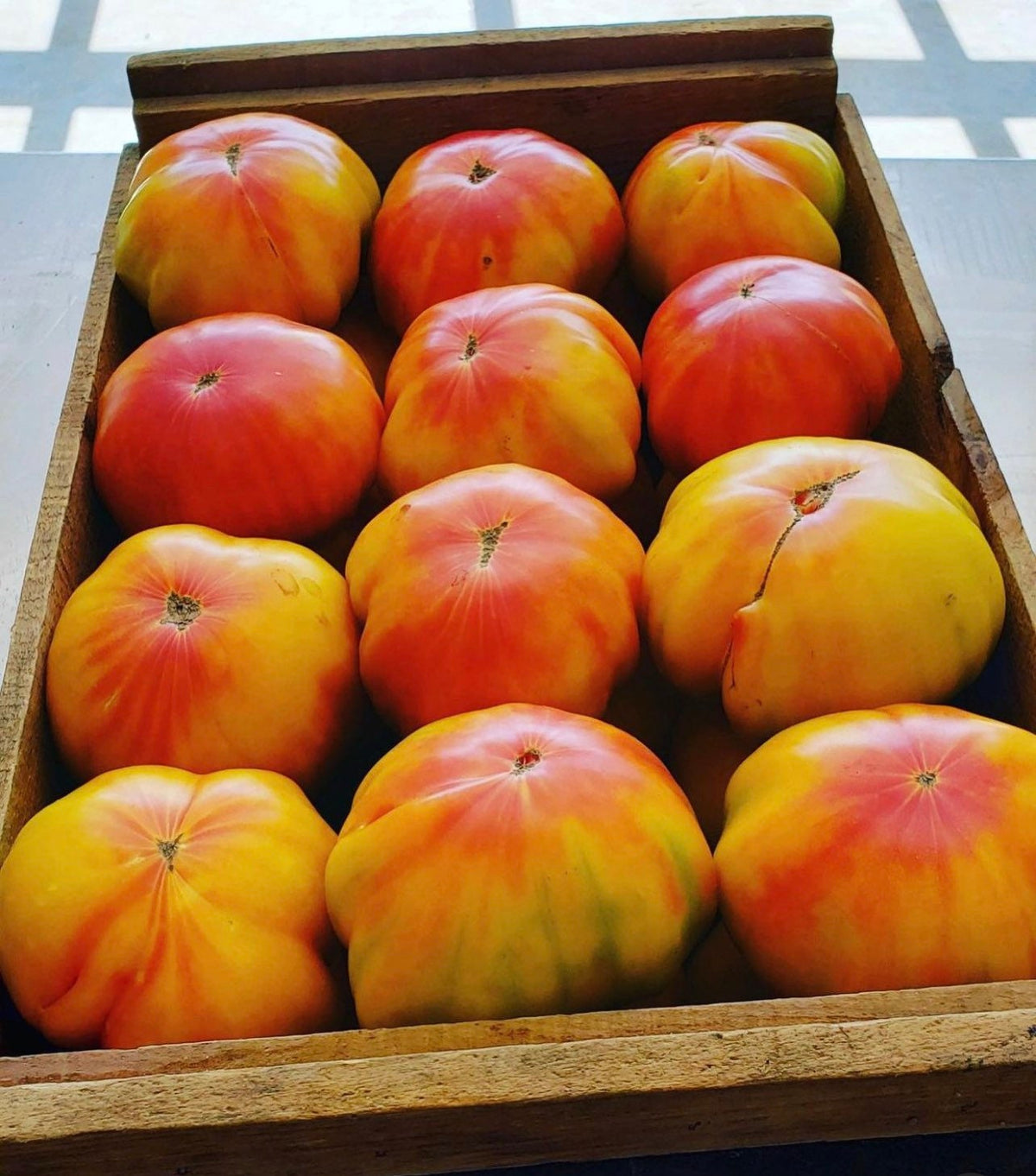 Wooden tray filled with red-and-yellow Striped German tomatoes.