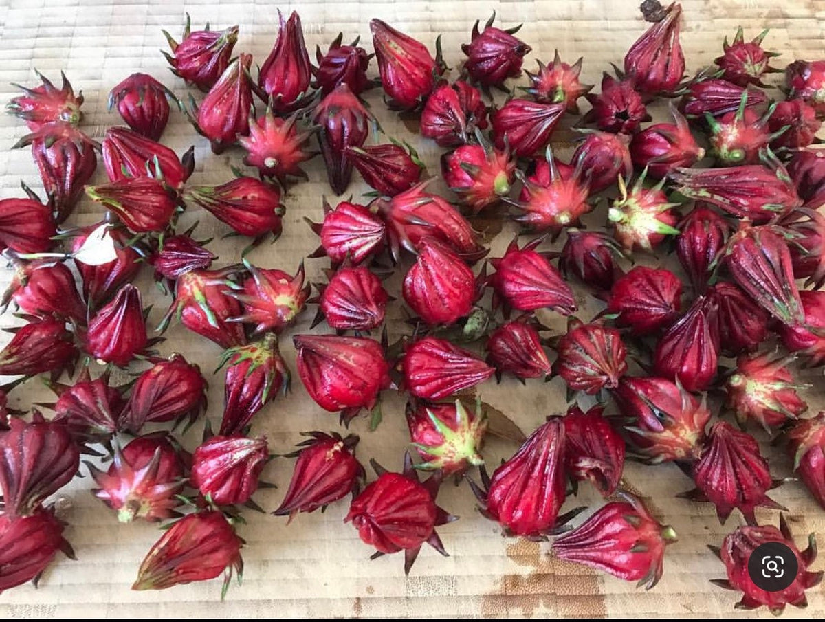 Harvested deep red roselle calyces spread across a wooden surface — from BlackOwnedSeeds.com.