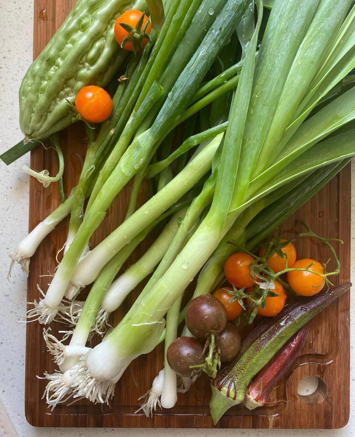 Harvested leeks with white stems and green tops beside assorted garden vegetables — from BlackOwnedSeeds.com.