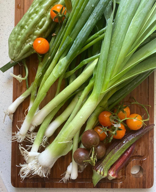 Harvested leeks with white stems and green tops beside assorted garden vegetables — from BlackOwnedSeeds.com.
