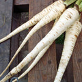 Long cream-colored parsnips laid across dark wooden boards — from BlackOwnedSeeds.com.