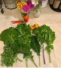 Harvested kale leaves arranged on a kitchen counter beside other produce — from BlackOwnedSeeds.com.