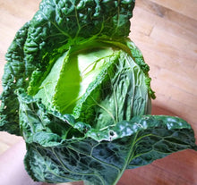 Load image into Gallery viewer, Savoy Perfection Cabbage
