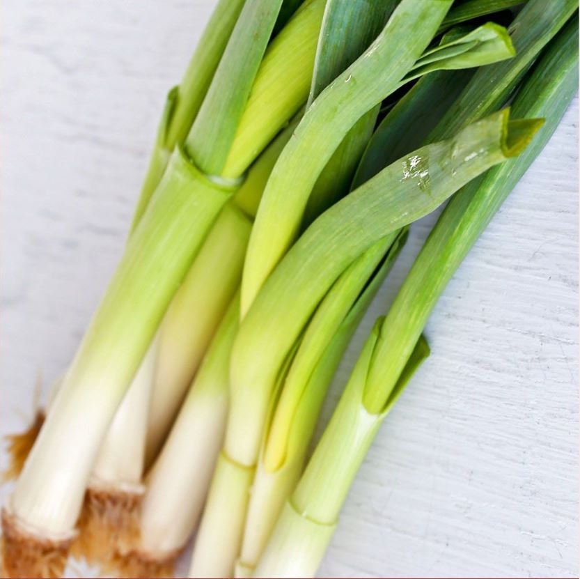 Chinese leeks with pale stems and broad green leaves laid together — from BlackOwnedSeeds.com.