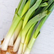 Load image into Gallery viewer, Chinese Leeks/Garlic Chives Seeds

