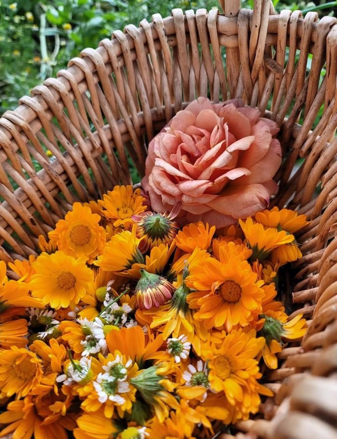 Orange calendula flowers and a pink rose in a woven basket.